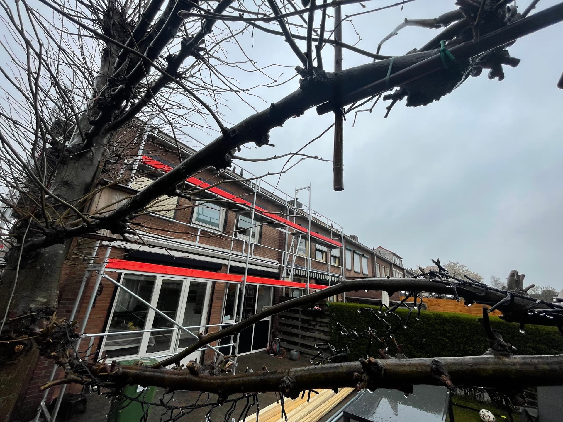 Dakrenovatie met tak